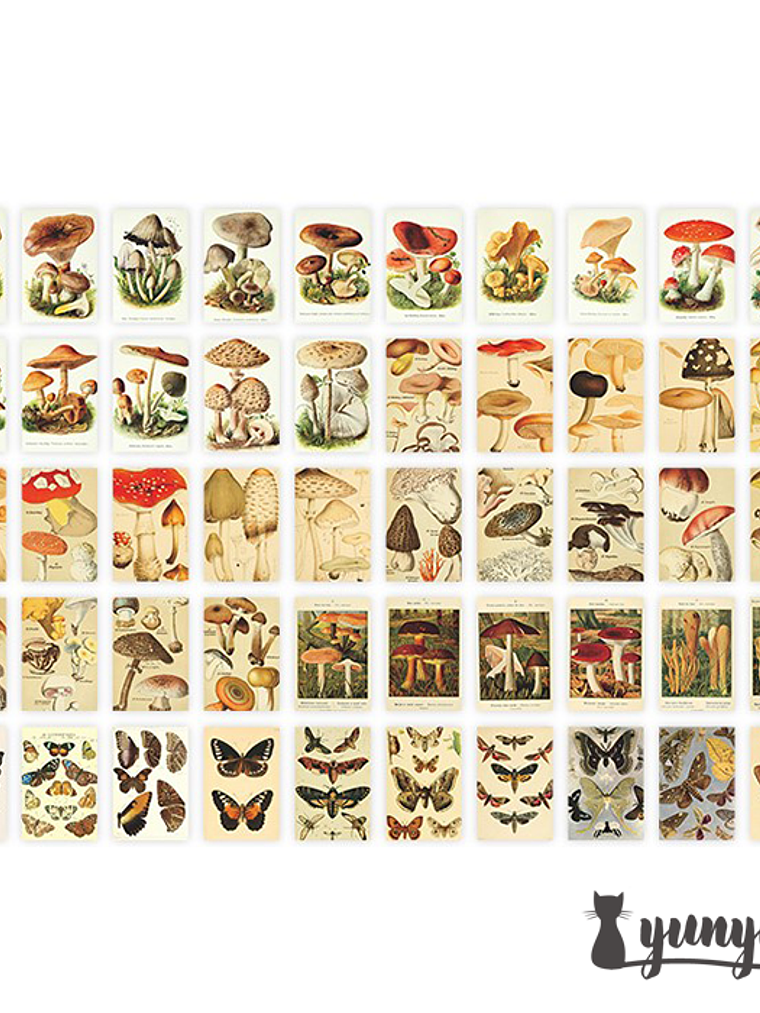 Mini Sticker Book II - 50 pzas 10