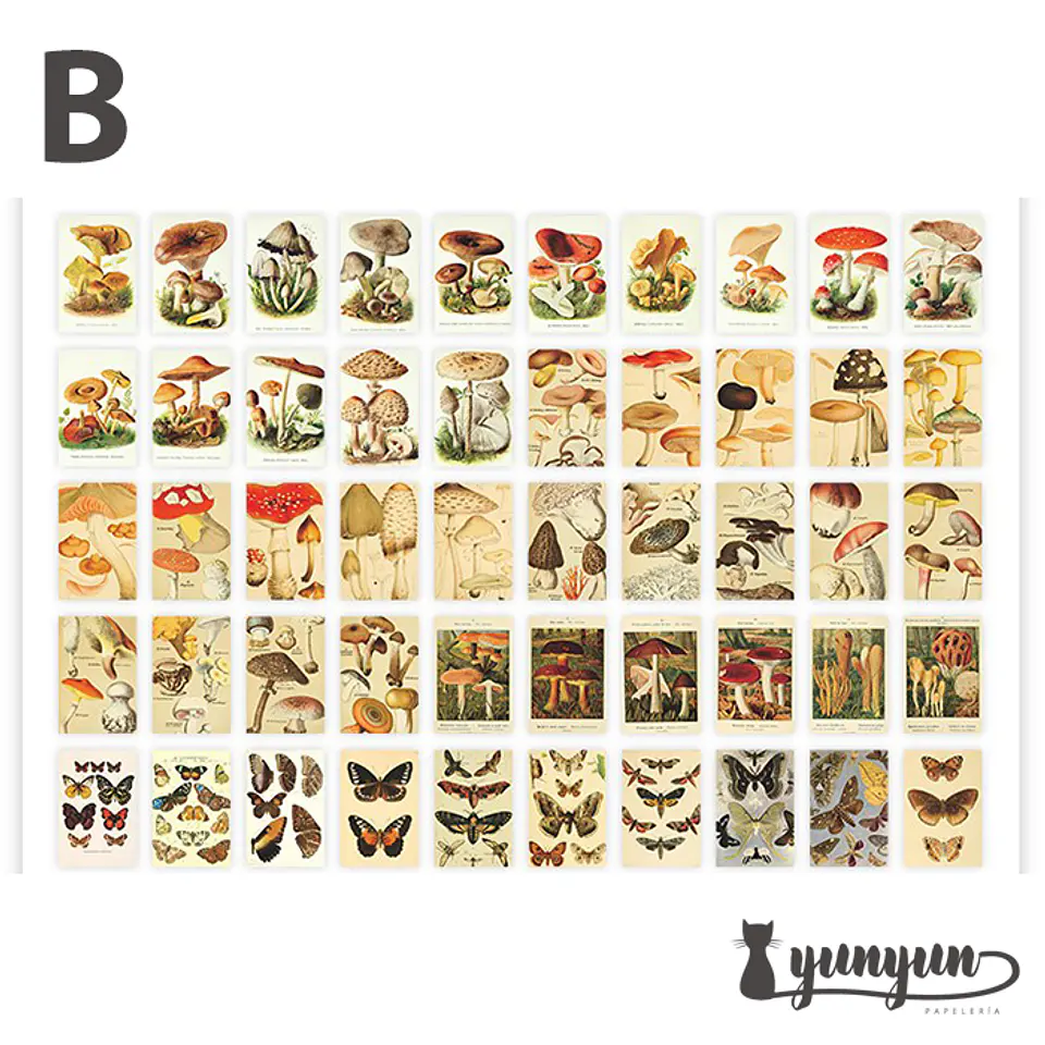 Mini Sticker Book II - 50 pzas 10