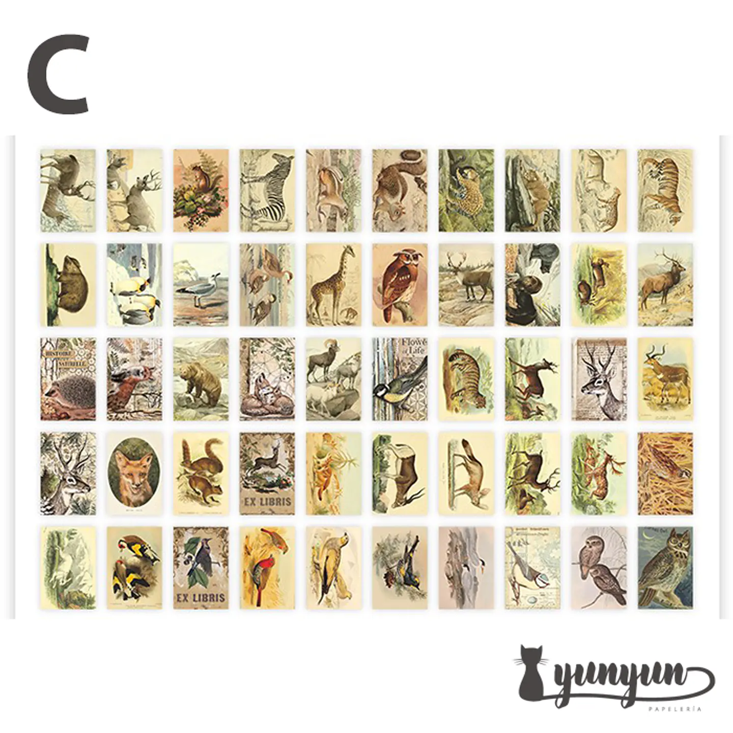Mini Sticker Book II - 50 pzas 11