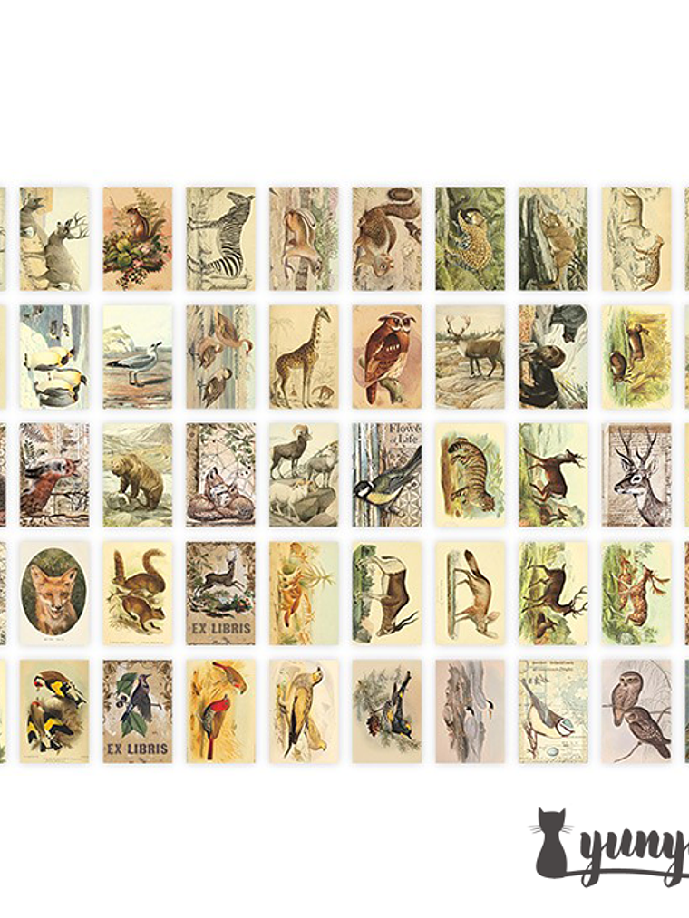 Mini Sticker Book II - 50 pzas 11