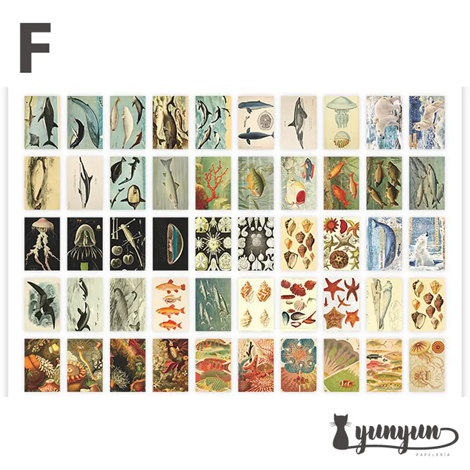 Mini Sticker Book II - 50 pzas 14