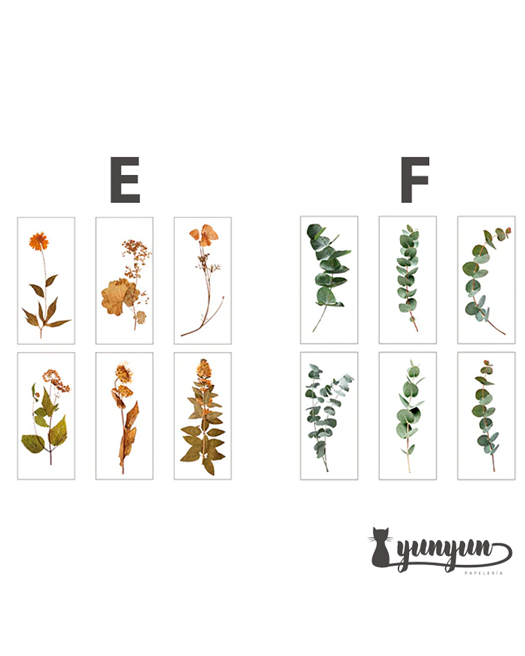Stickers Plant Collection - 6 pzas