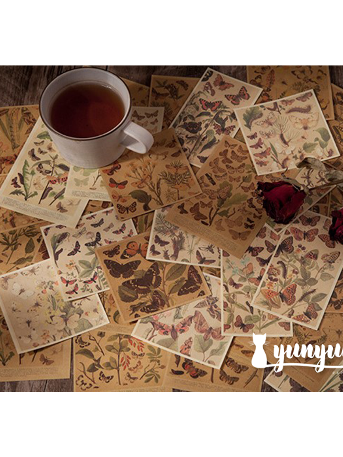 Time Traveler - 60 pzas 3