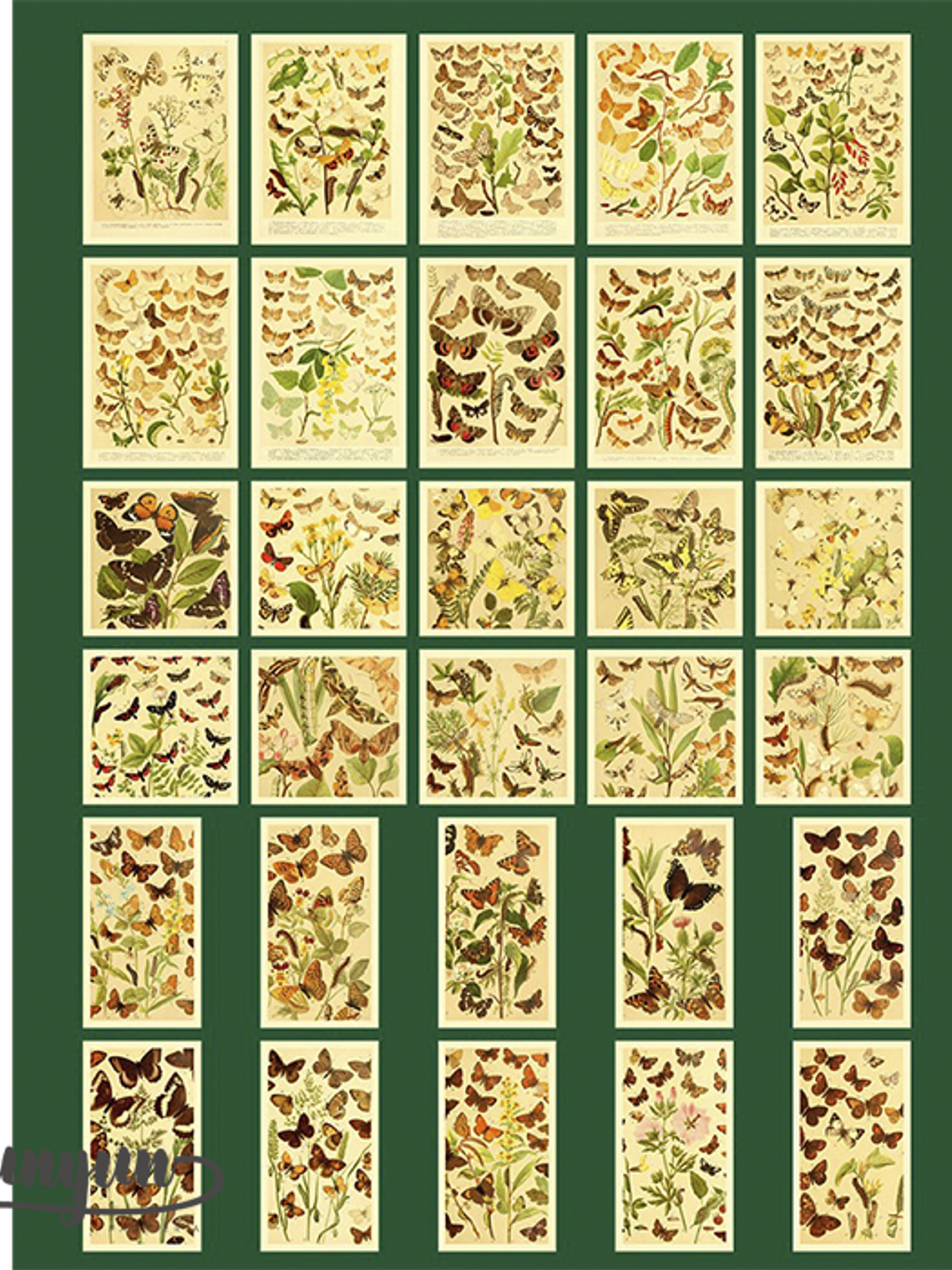 Time Traveler - 60 pzas 8