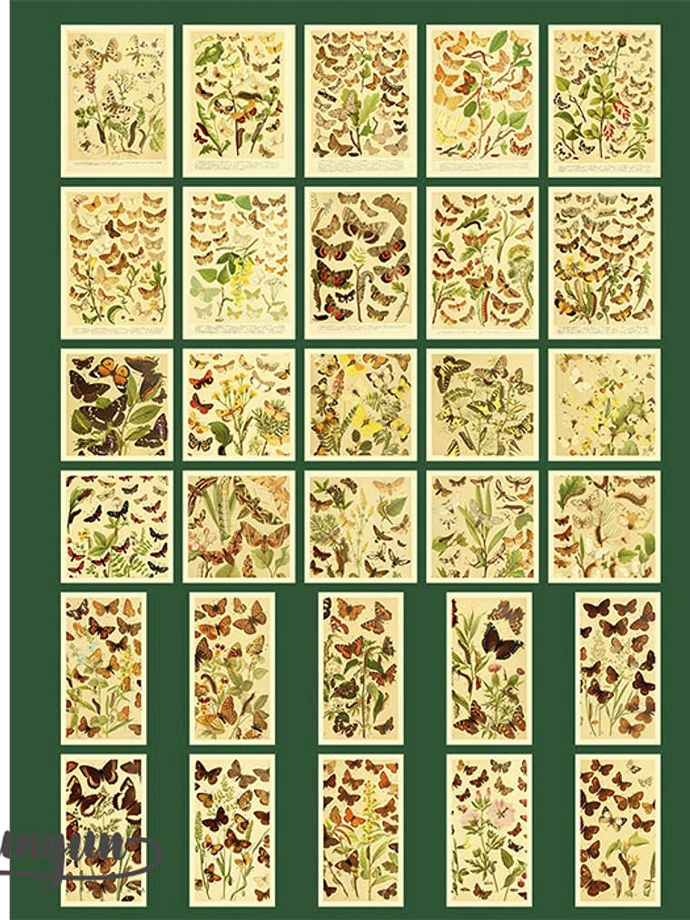 Time Traveler - 60 pzas 8