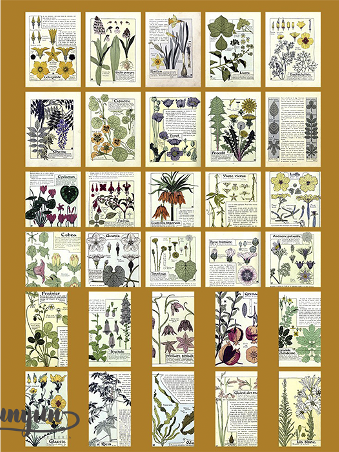 Time Traveler - 60 pzas 12