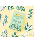 Caja Stickers Botánica #17