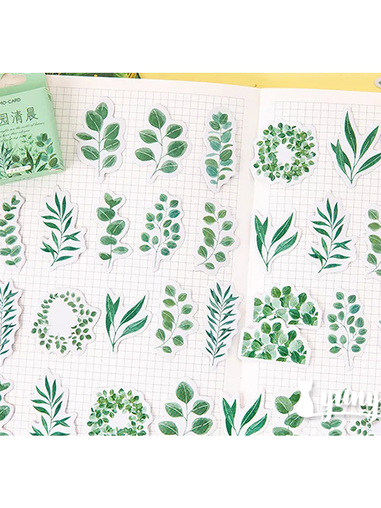 Caja Stickers Botánica #17 2