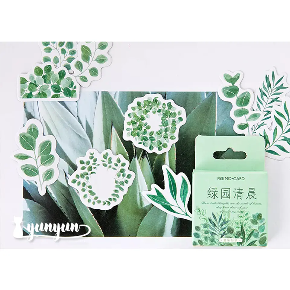 Caja Stickers Botánica #17 3