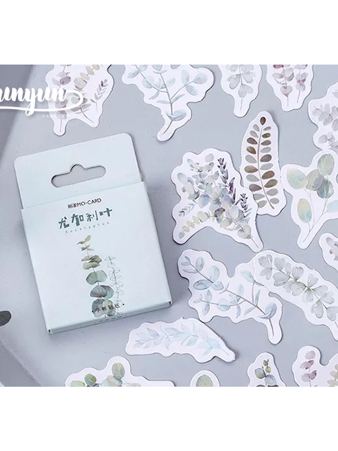 Caja Stickers Botánica #19 1