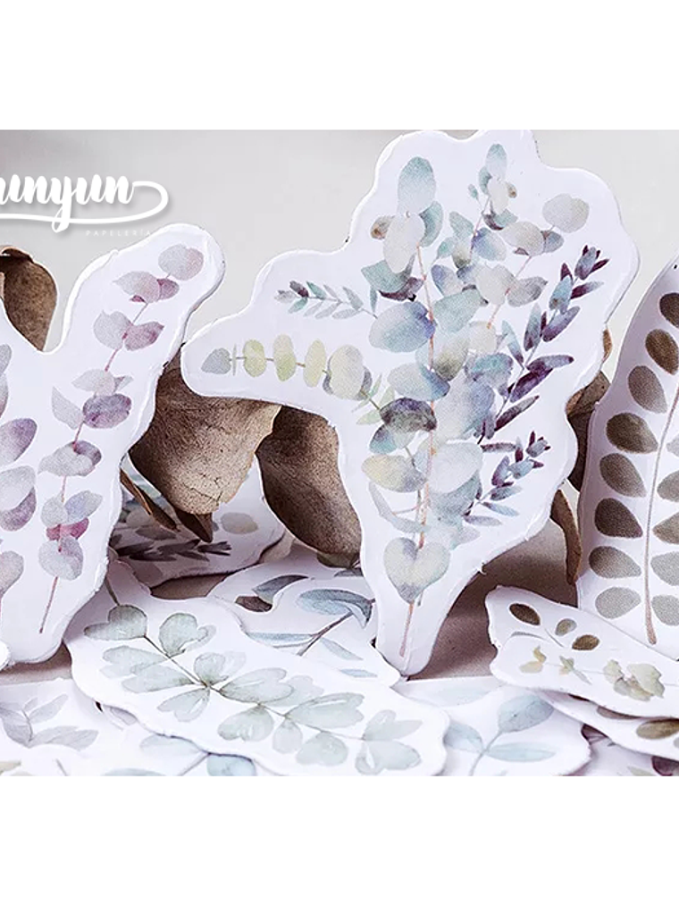 Caja Stickers Botánica #19 2