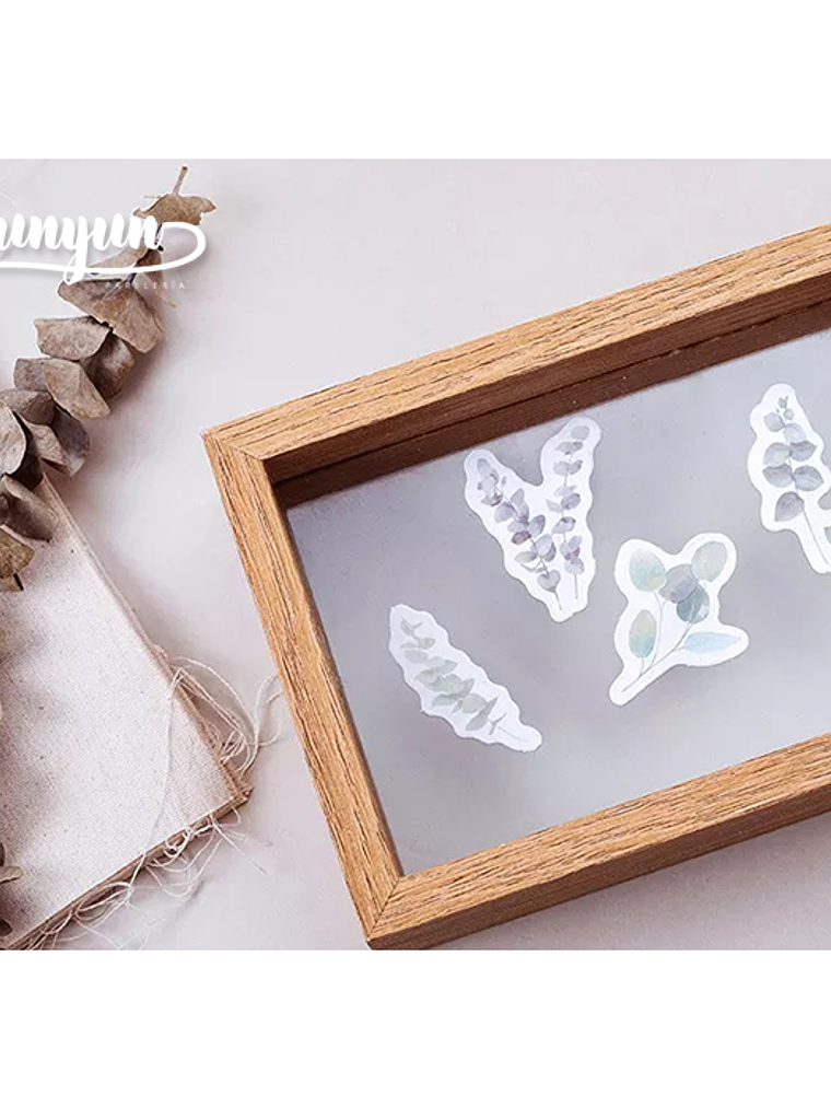 Caja Stickers Botánica #19 3