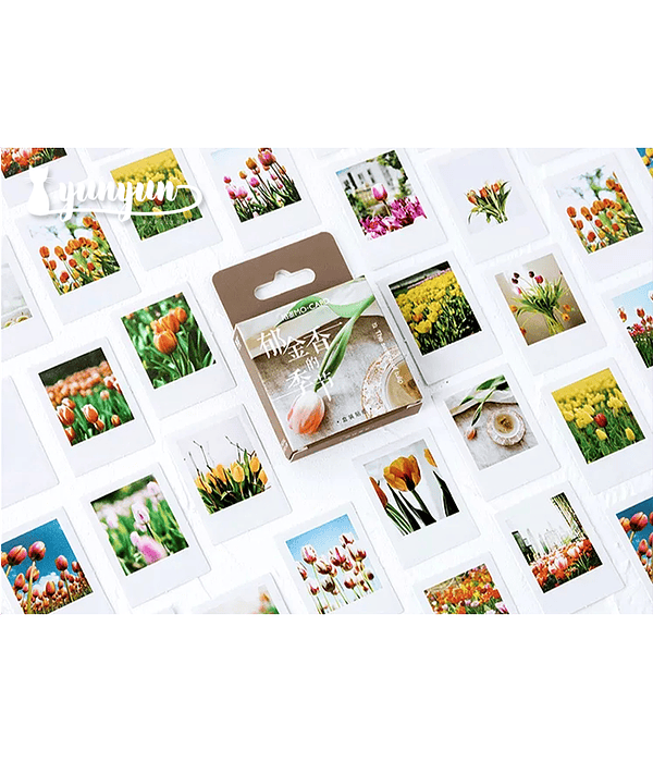 Caja Stickers Botánica #23