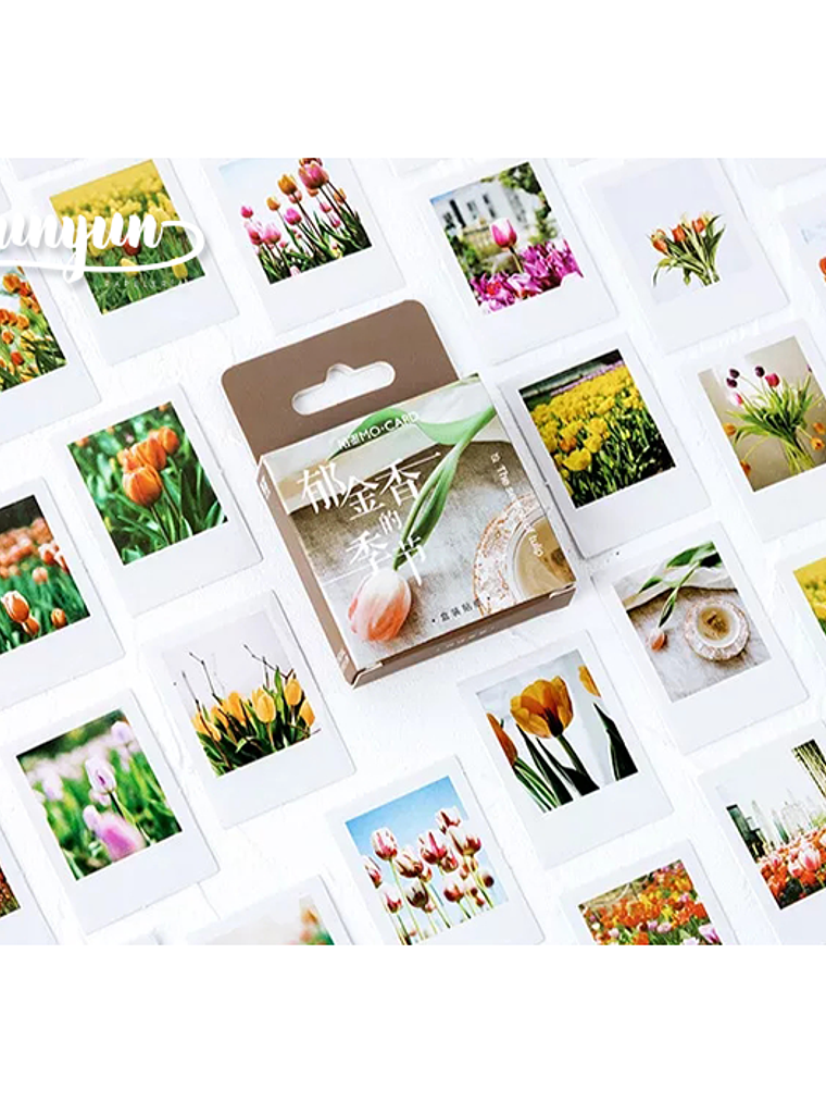 Caja Stickers Botánica #23 1