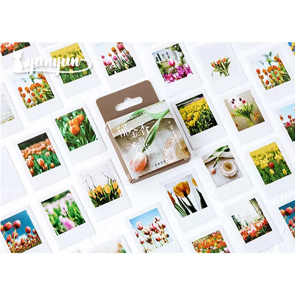 Caja Stickers Botánica #23 1