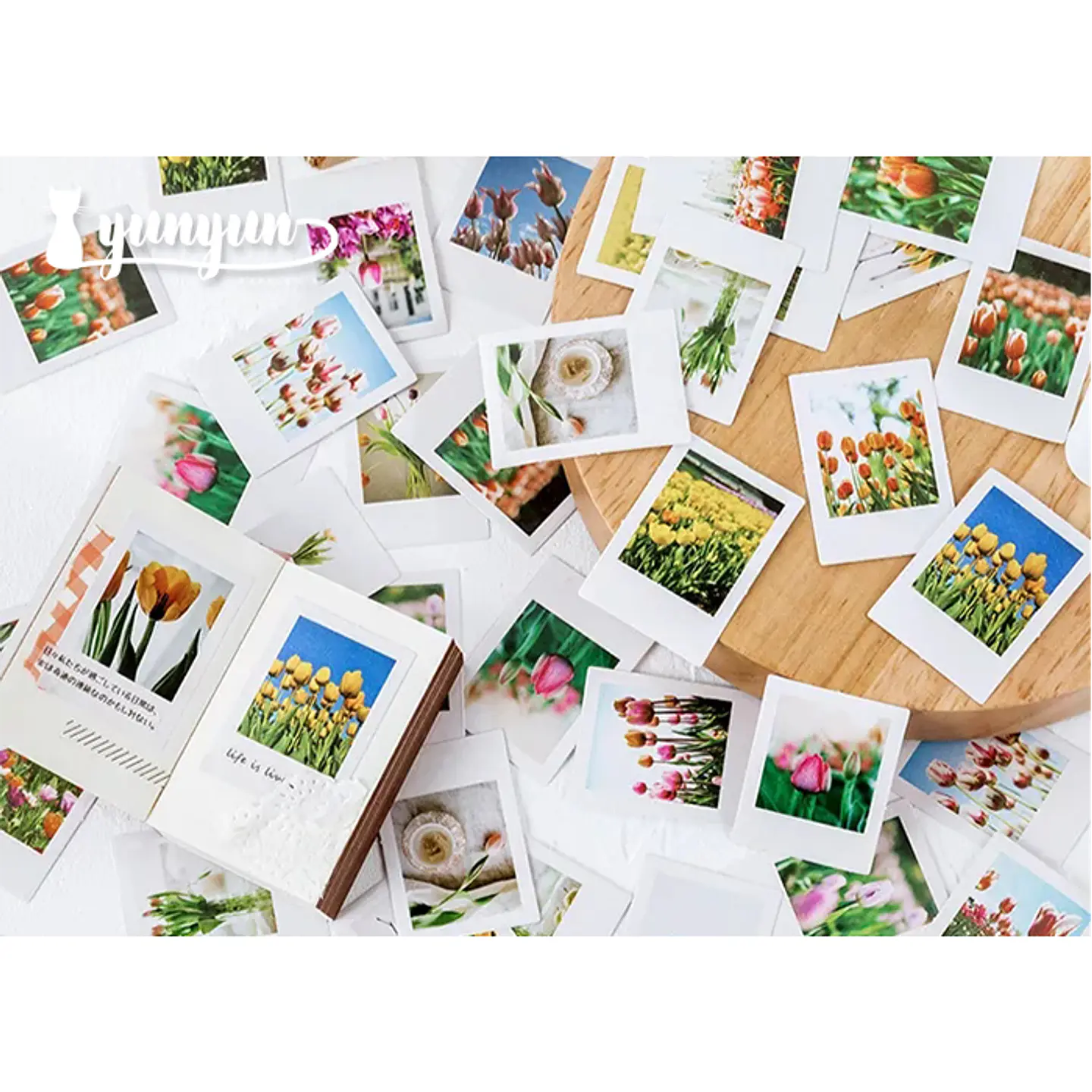 Caja Stickers Botánica #23 2