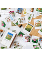 Caja Stickers Botánica #23 - Miniatura 2