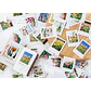 Caja Stickers Botánica #23 - Miniatura 2