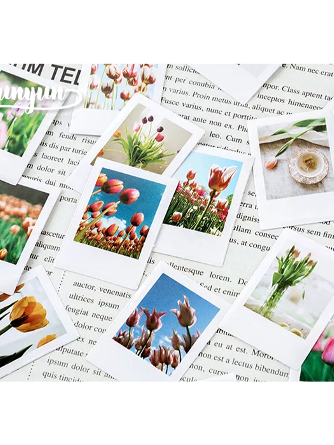 Caja Stickers Botánica #23 3