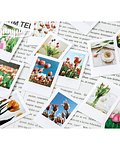 Caja Stickers Botánica #23