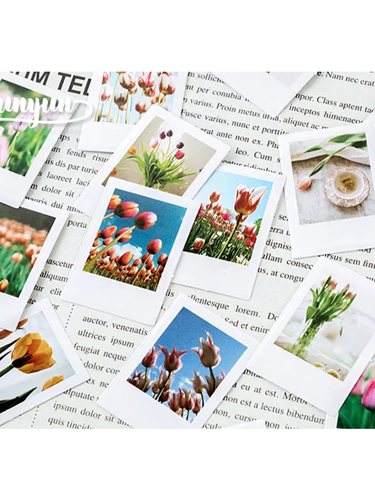 Caja Stickers Botánica #23 3