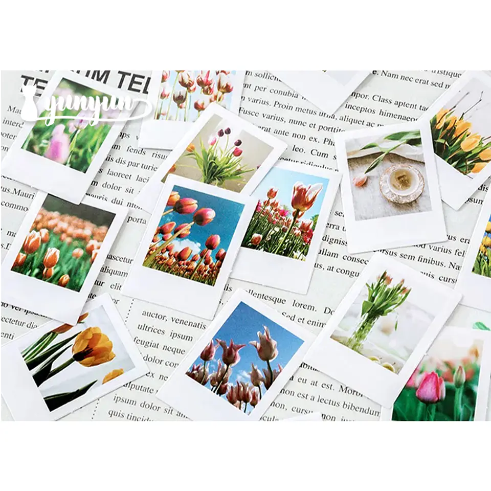 Caja Stickers Botánica #23 3