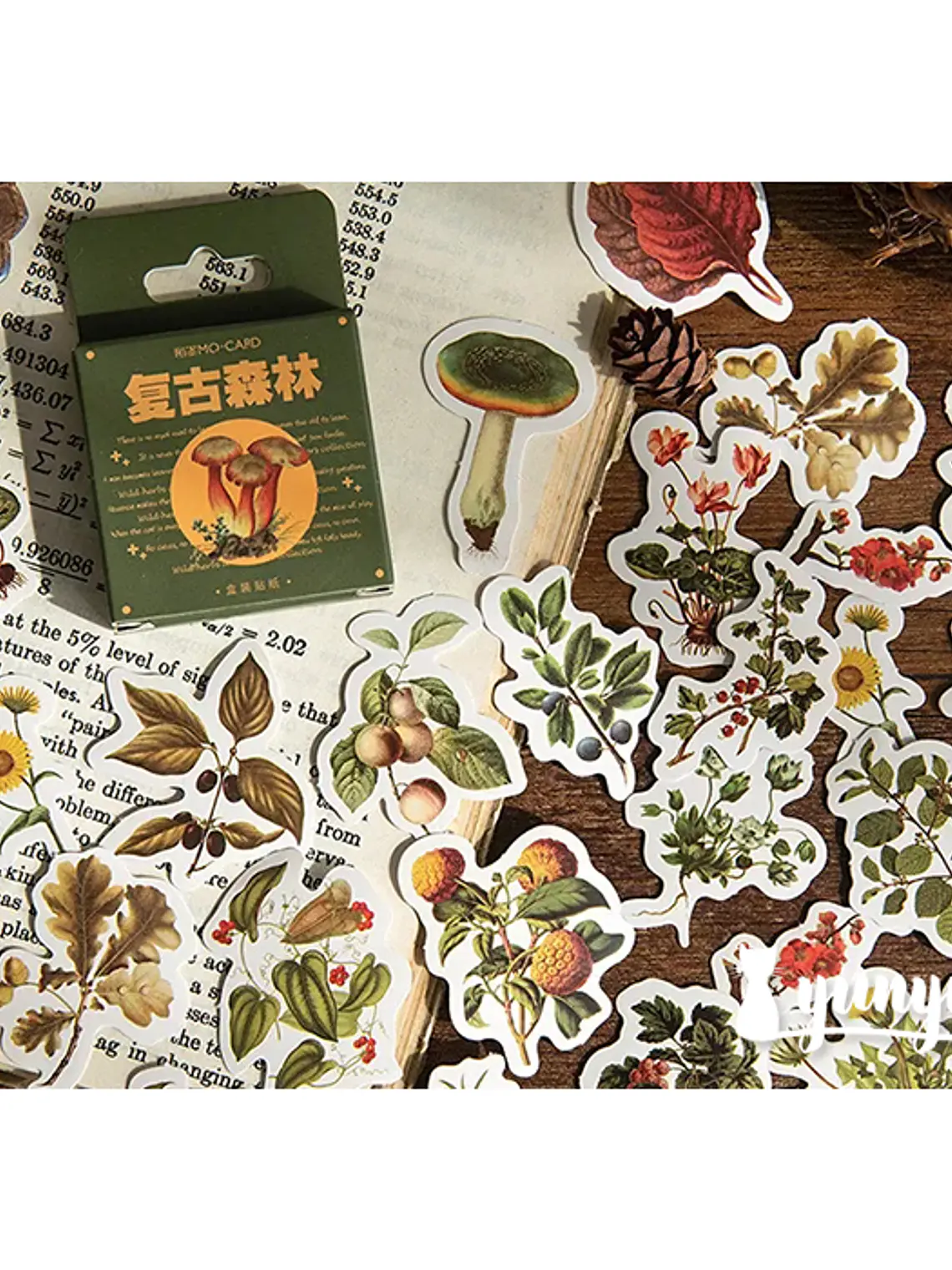 Caja Stickers Botánica #25 1