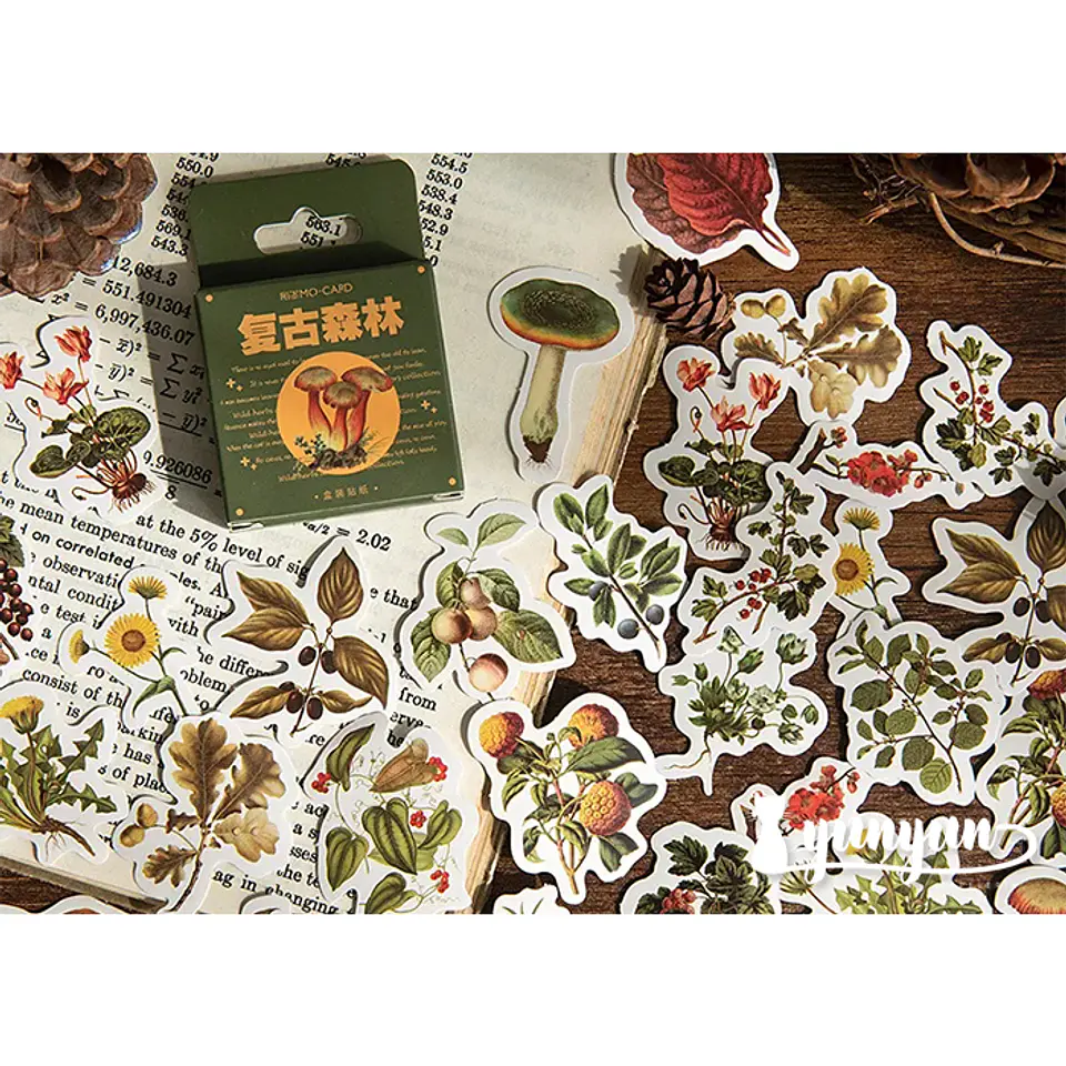 Caja Stickers Botánica #25 1