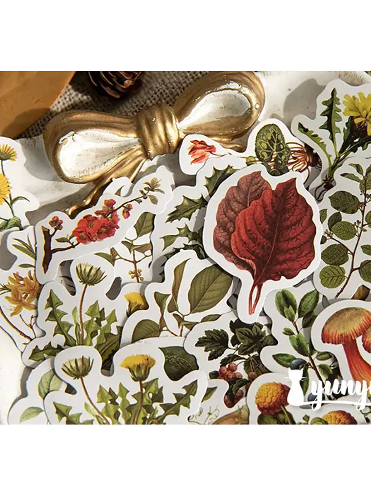 Caja Stickers Botánica #25 2