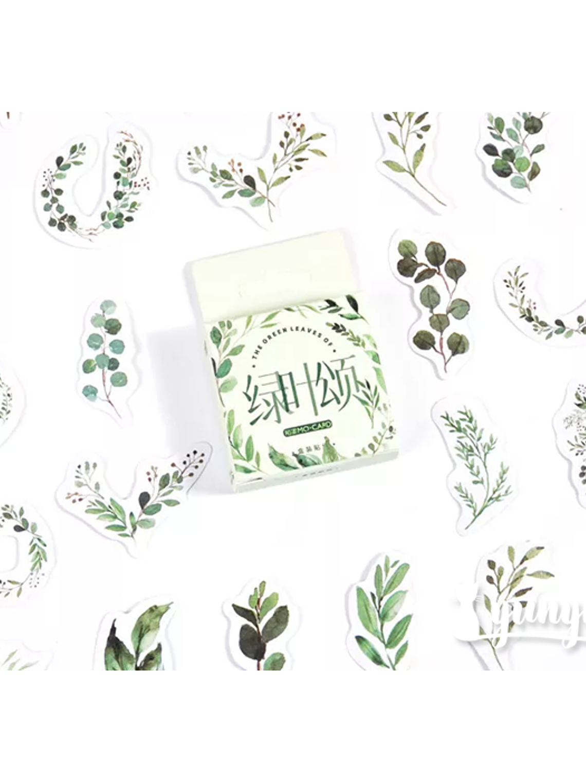 Caja Stickers Botánica #26 1