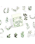 Caja Stickers Botánica #26
