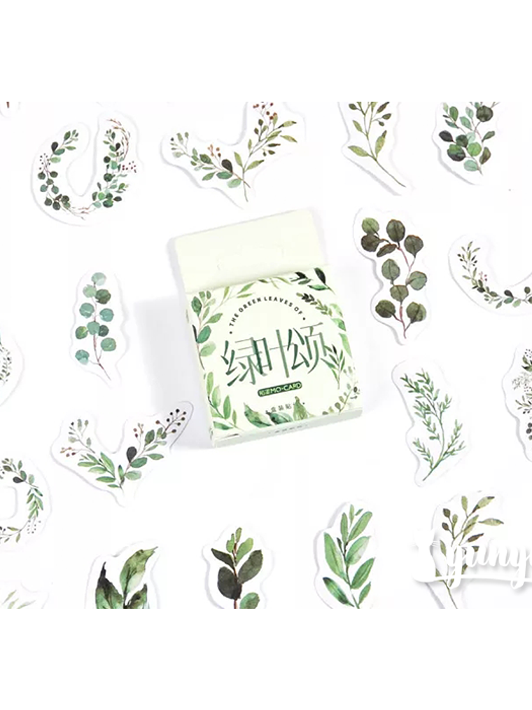 Caja Stickers Botánica #26 1
