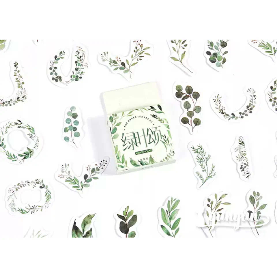 Caja Stickers Botánica #26 1