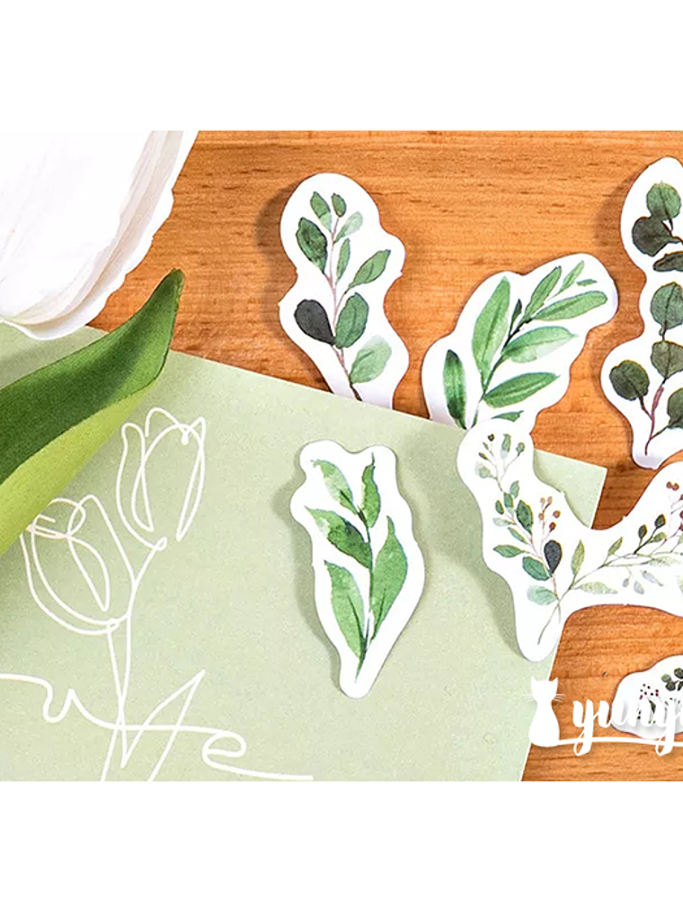 Caja Stickers Botánica #26 2