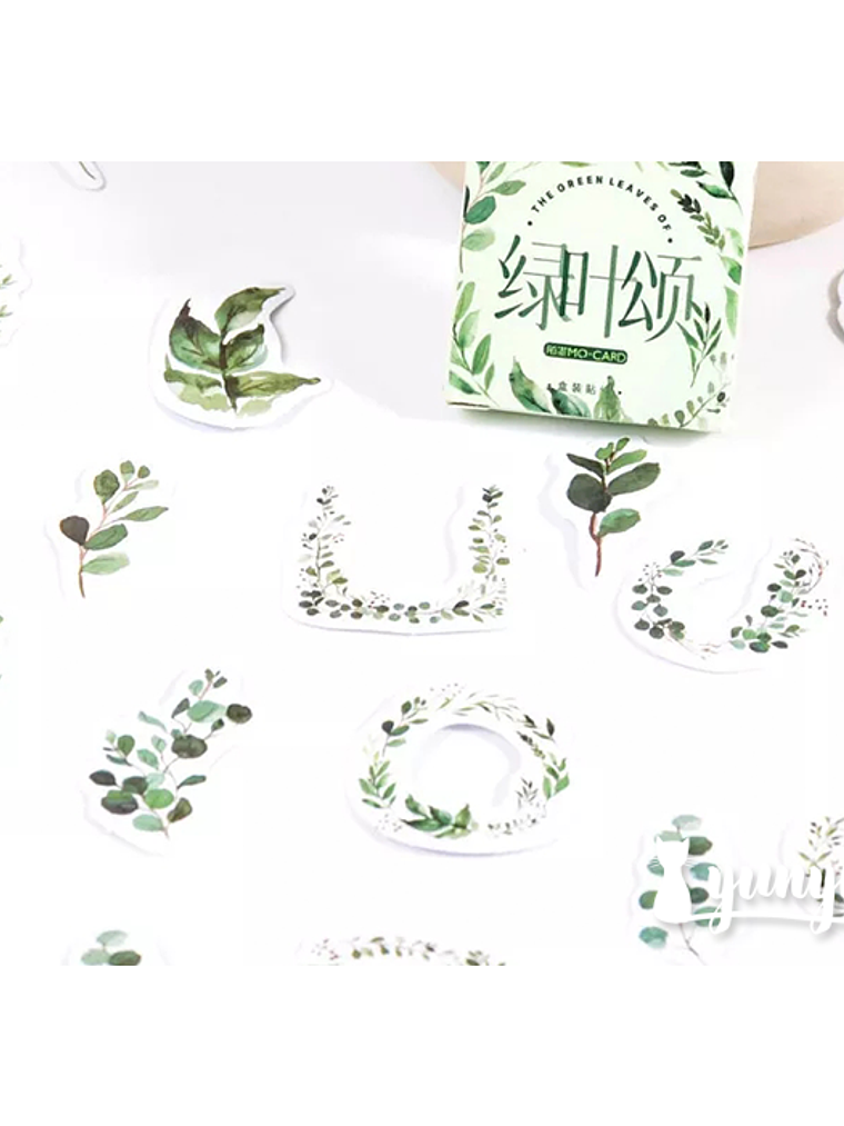 Caja Stickers Botánica #26 3