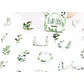 Caja Stickers Botánica #26 - Miniatura 3