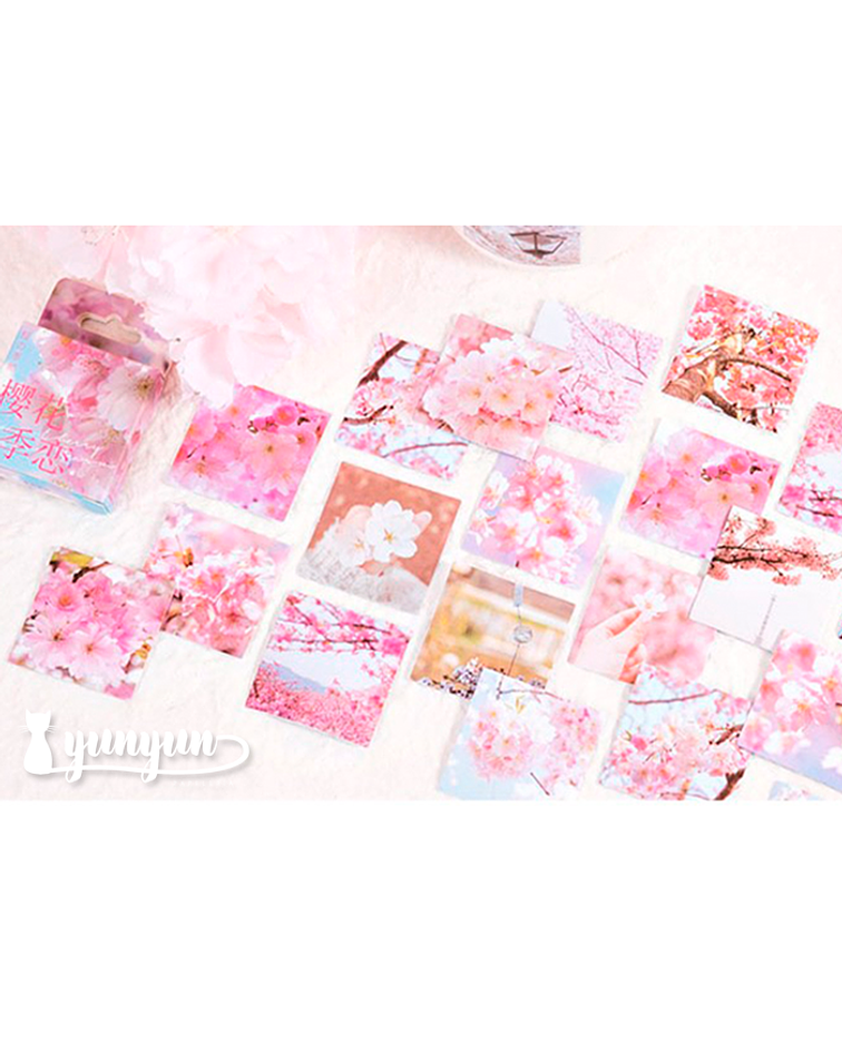 Caja Stickers Sakura IV - 45 pzas