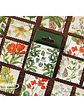 Caja Stickers Estampilla Botánica - 45 pzas - Miniatura 1