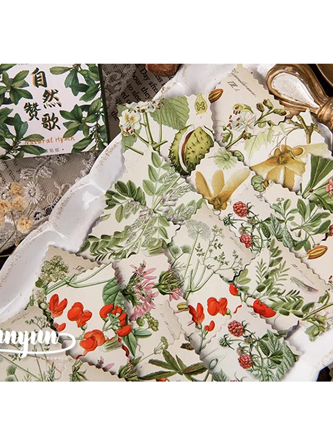 Caja Stickers Estampilla Botánica - 45 pzas 2