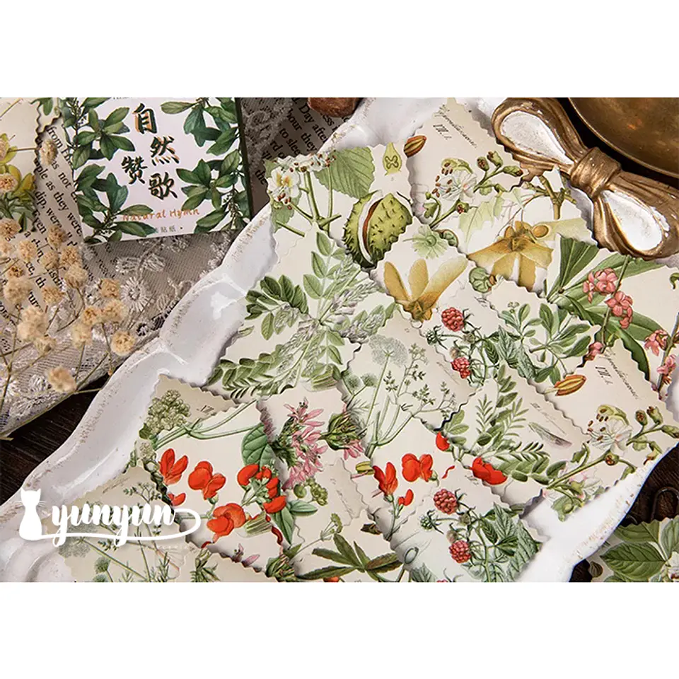 Caja Stickers Estampilla Botánica - 45 pzas 2