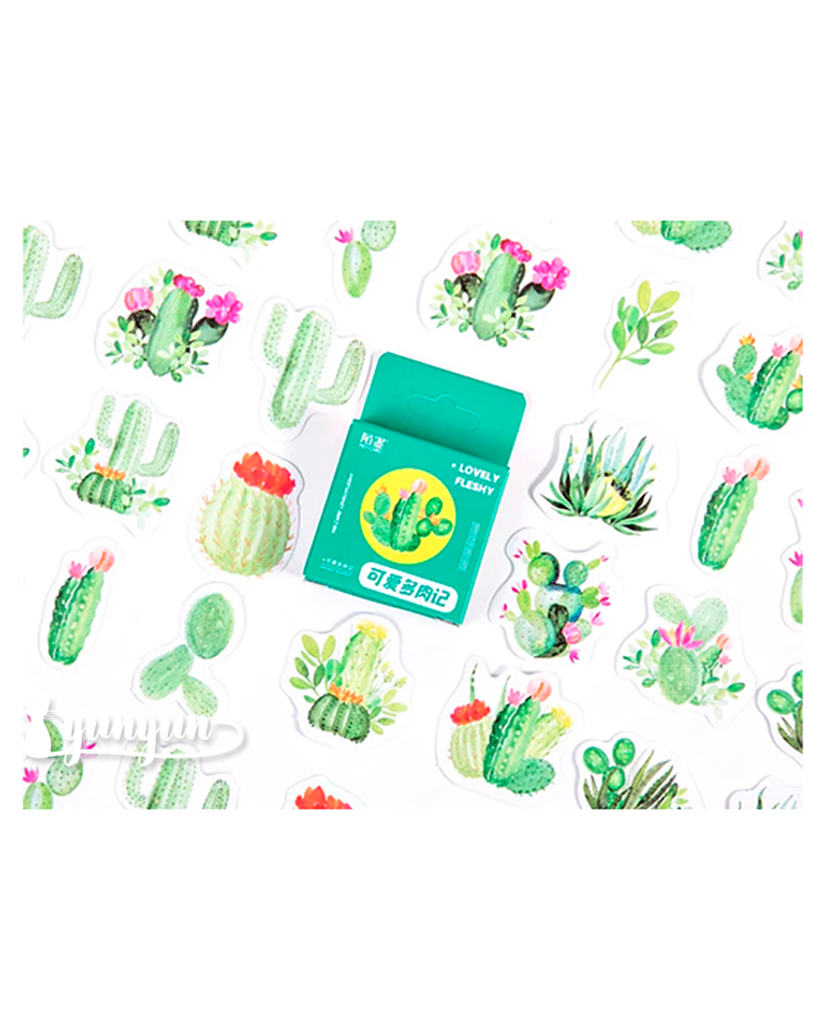 Caja Stickers Cactus I - 45 pzas