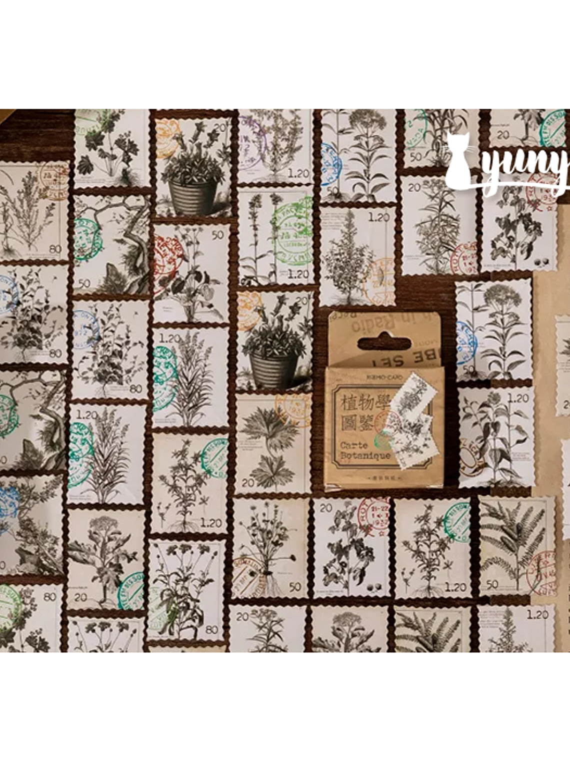 Caja Stickers Botánica #37 1