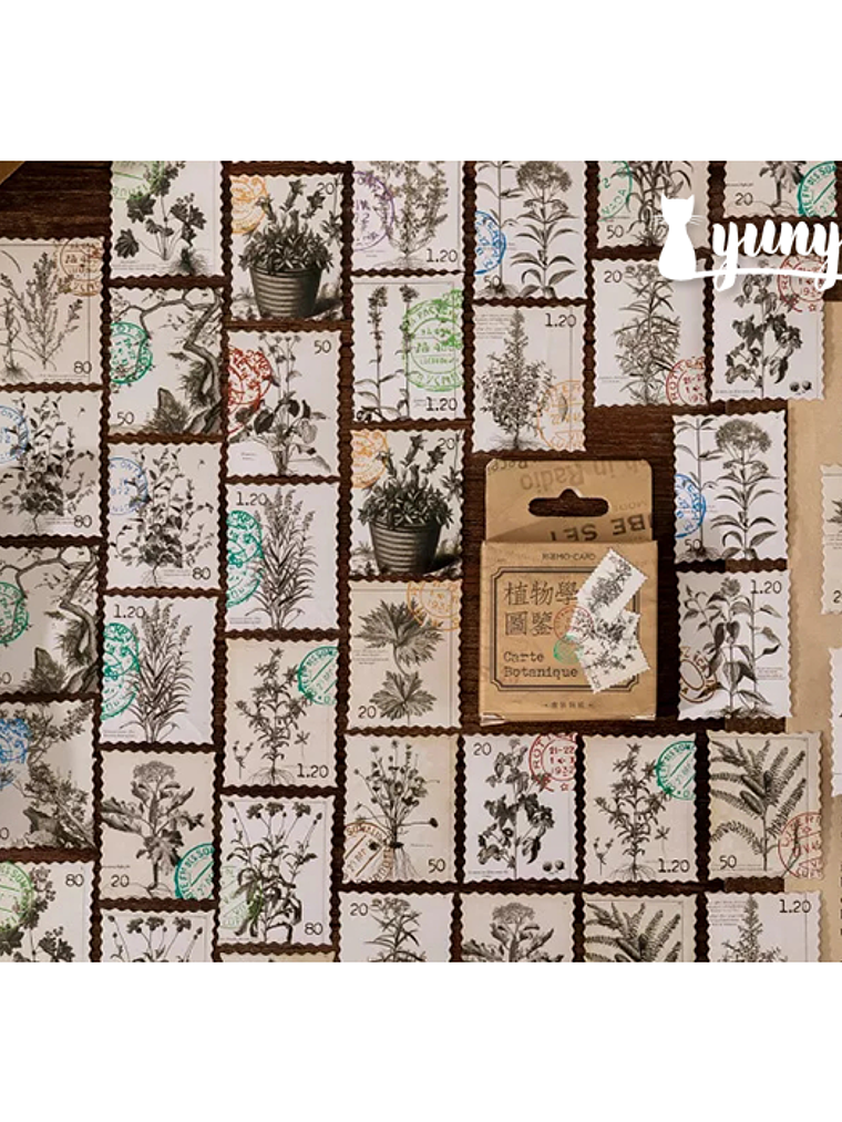 Caja Stickers Botánica #37 1