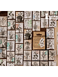 Caja Stickers Botánica #37 - Miniatura 1