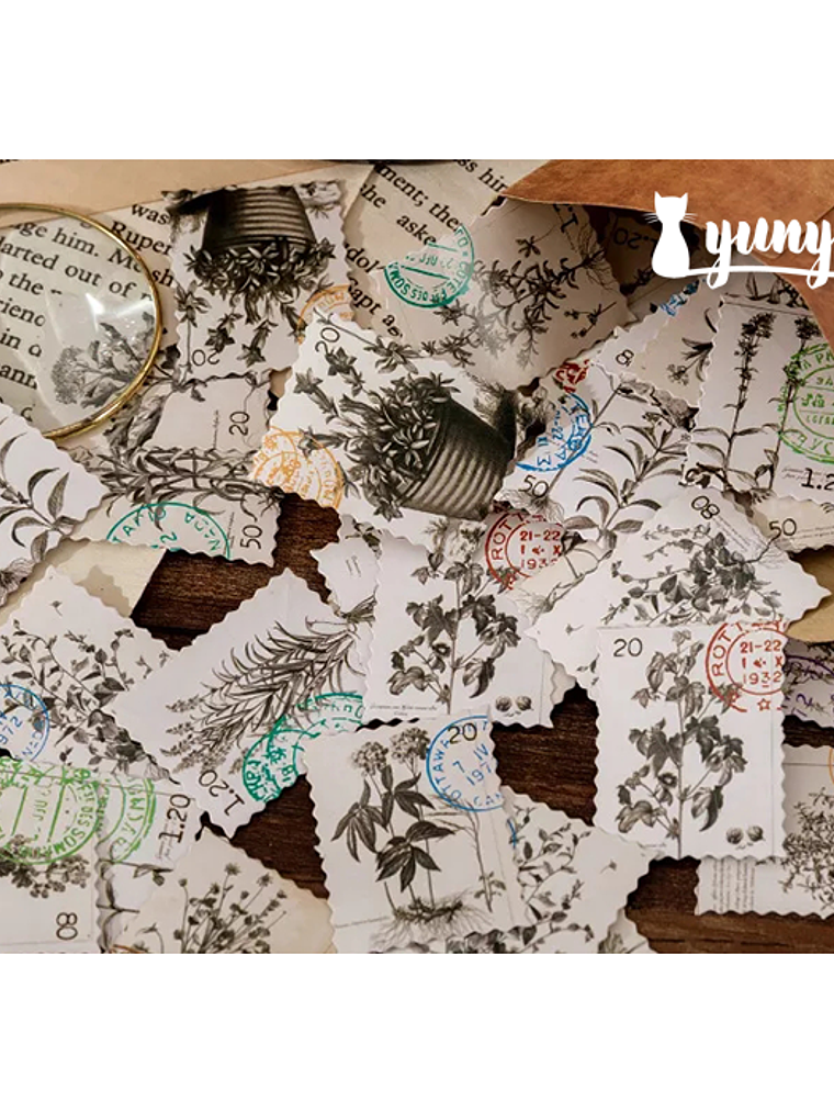 Caja Stickers Botánica #37 2