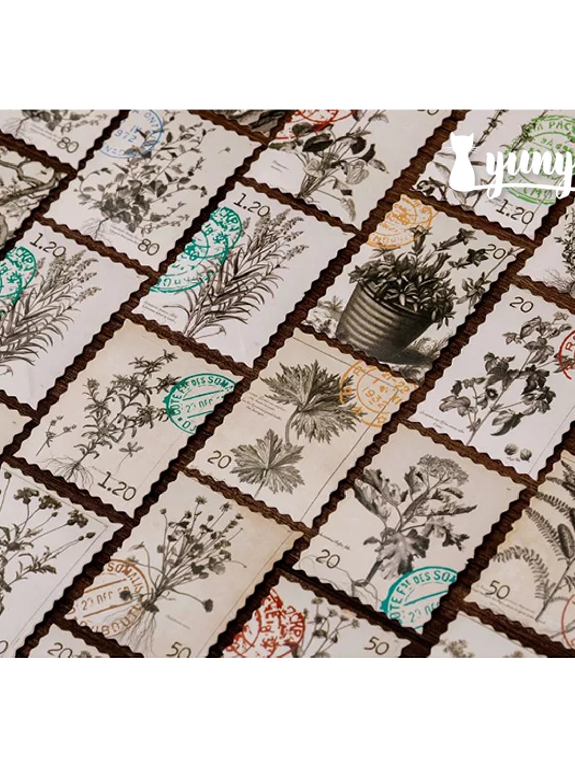 Caja Stickers Botánica #37 3