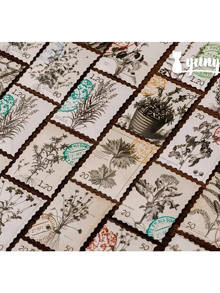 Caja Stickers Botánica #37 3