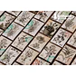 Caja Stickers Botánica #37 - Miniatura 3