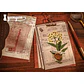 Stickers Old Book - 25 pzas - Miniatura 4
