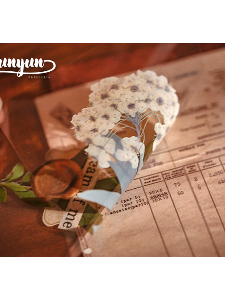 Stickers Old Book - 25 pzas 5